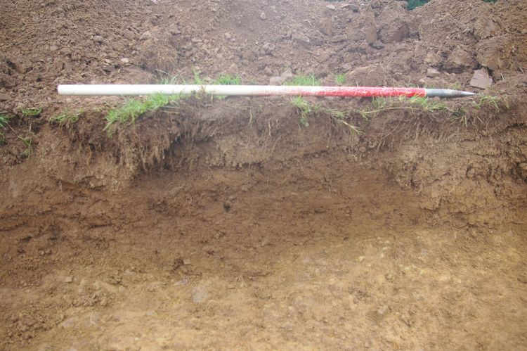 Thumbnail of A shot of Post Hole [109] and Post Hole [111]; looking south-west (1m scale).