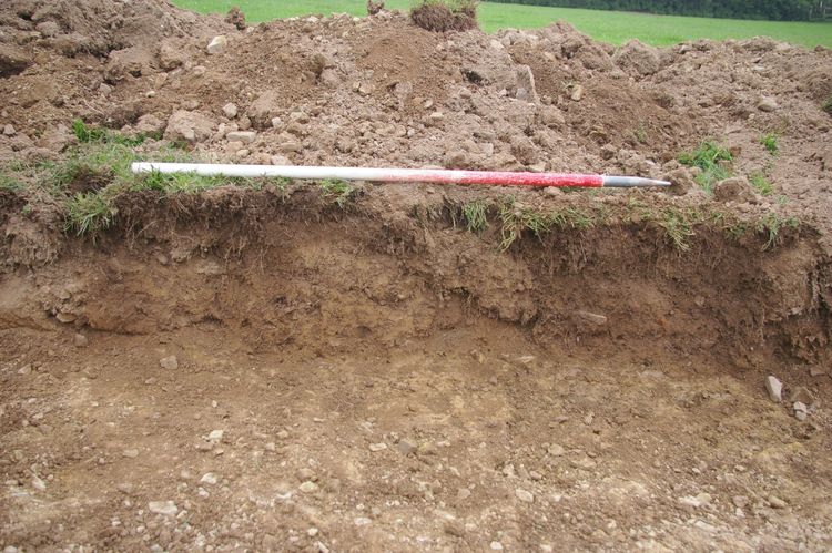 Thumbnail of A sample section of Trench 04; looking east-north-east (1m scale).