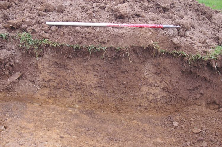 Thumbnail of A sample section of Trench 04; looking east-north-east (1m scale).