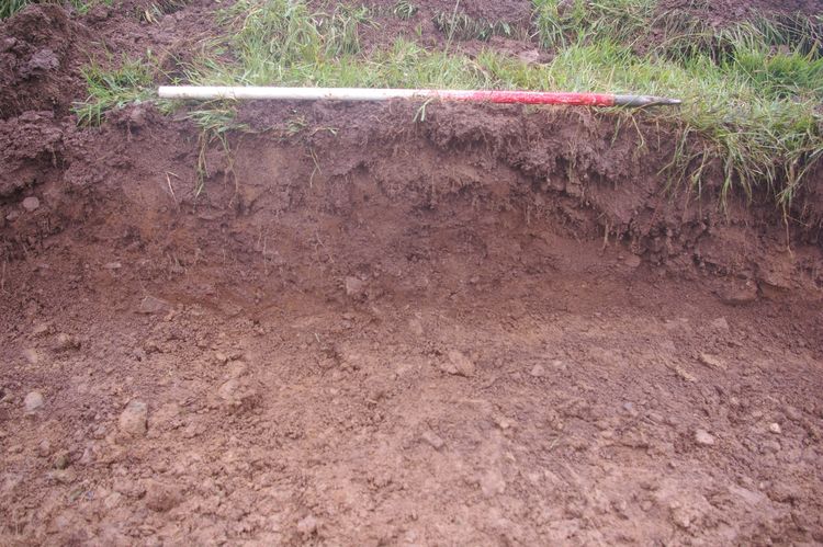 Thumbnail of A sample section of Trench 07; looking east-north-east (1m scale).