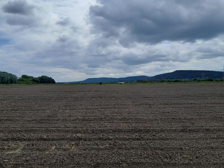 aocarcha1-526990: Digital Archive from a Geophysical Survey at Runcorn Carbon Dioxide Pipeline Spur, Runcorn, Cheshire, May-July 2024. Copyright:  AOC Archaeology Group