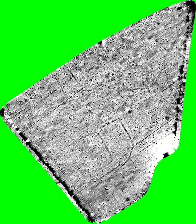 Processed data as a greyscale for Area 4.