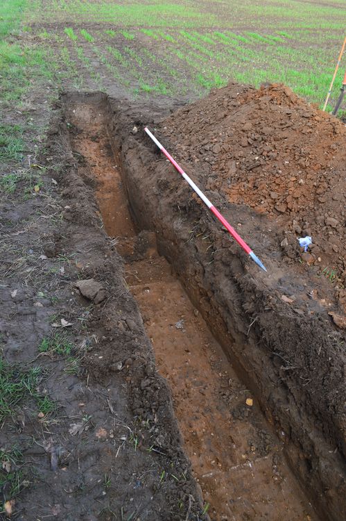 cotswold2-509419: Digital Archive from an Archaeological Evaluation and Watching Brief at Belstead, Suffolk, October 2022. Copyright:  Cotswold Archaeology