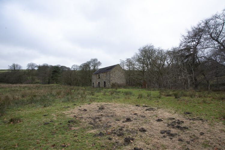 thejesso1-527982: Digital Archive from Historic Building Recording Works at Boosley Grange Field Barn, Fawfieldhead, Staffordshire, September - October 2024. Copyright:  TJC Heritage Ltd