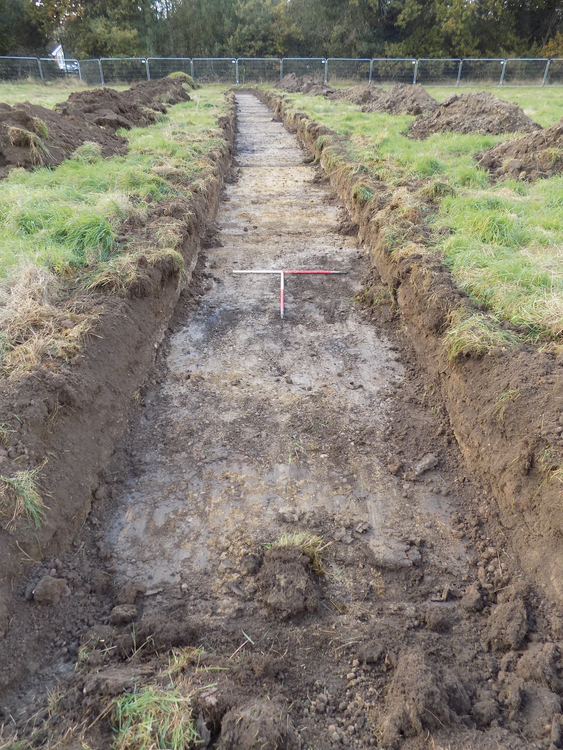 molanort1-270415: Digital Archive from a Trial Trench Evaluation at Tidbury Green Farm, Solihull, West Midlands, November 2016. Copyright:  MOLA Northampton