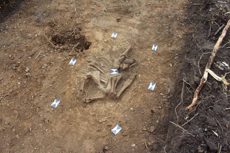 cotswold2-530923: Digital Archive from an Archaeological Evaluation East of High Lane, Stansted Mountfitchet, Essex, November 2024. Copyright:  Cotswold Archaeology