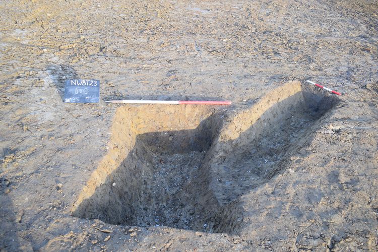 oxfordar3-526966: Digital Archive from an Archaeological Excavation at Rosario, High Road, Thornwood, Essex, November - December 2023. Copyright:  Oxford Archaeology (Cambridge)