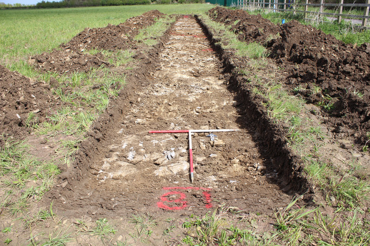 cotswold2-524176: Digital Archive from Archaeological Evaluation at Bradley Hill Lane, Somerton, Somerset, April 2024. Copyright:  Cotswold Archaeology