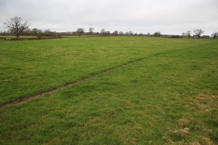 cotswold2-533530: Digital Archive from an Archaeological Evaluation at Blackmore Farm, Melksham, Wiltshire, February 2024. Copyright:  Cotswold Archaeology