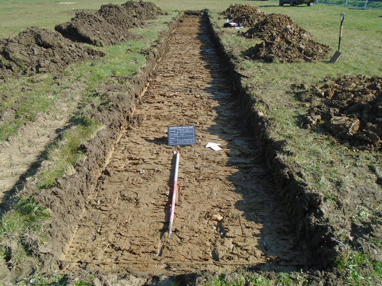 archaeol6-245825: Digital Archive from an Archaeological Evaluation at Phase 5D, Cedars Park, Tomo Road, Stowmarket, Suffolk, March 2016. Copyright:  Archaeology South-East