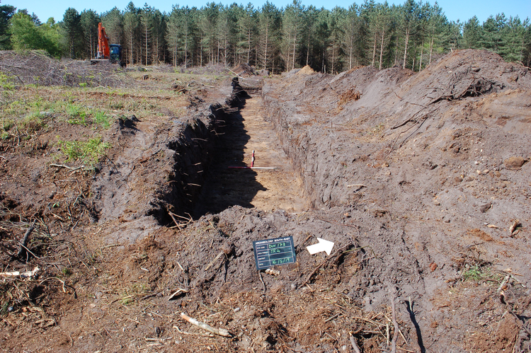archaeol6-352522: Digital Archive from a Trial Trench Evaluation at  Dunwich Quarry, Dunwich Forest, Suffolk, May 2019. Copyright:  Archaeology South-East