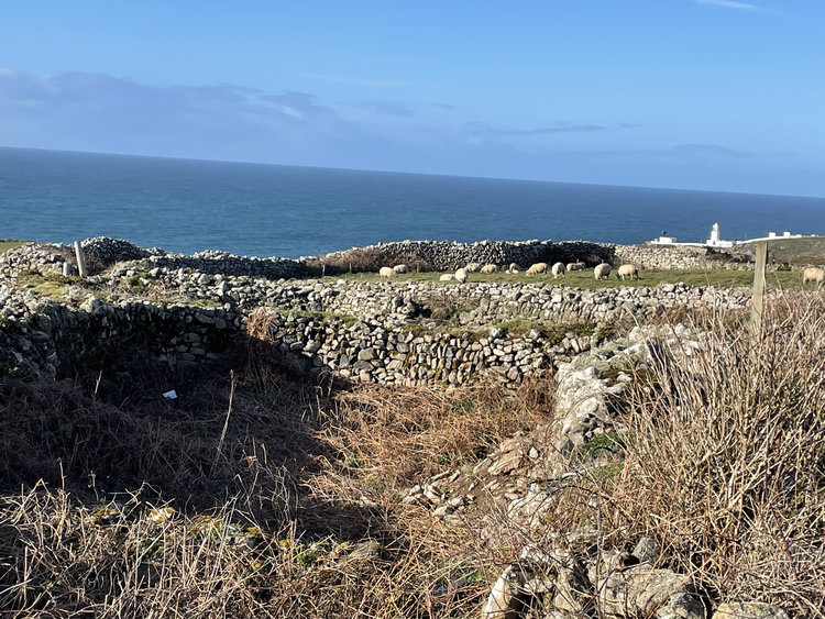 archaeol26-520387: Digital Archive from an Archaeological Evaluation at Seaward Barn, Lower Boscaswell, Cornwall, March 2023. Copyright:  Archaeology Wales