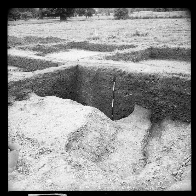 Thumbnail of 1-6 View looking S of trench A IV with scale
