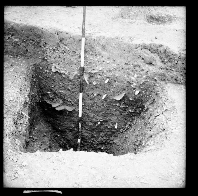 Thumbnail of 12-3 View looking N of pit in trench AII with scale