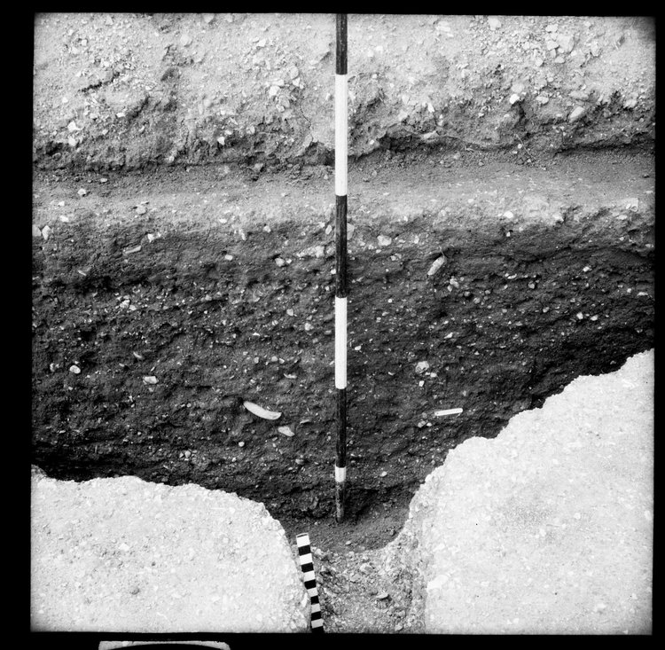 Thumbnail of 13-1 View of feature against trench section in unknown trench from PC I-III with scale - 2