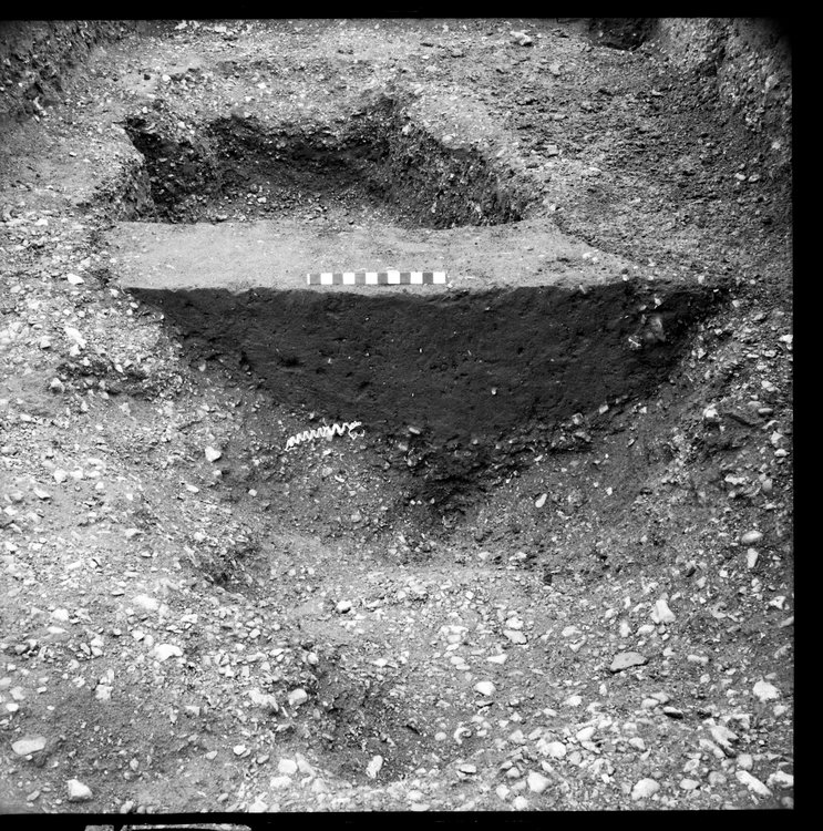 Thumbnail of 13-2 View looking E of trench III with scale