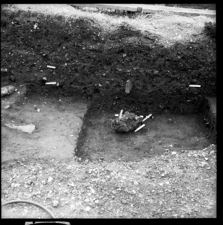 Thumbnail of 13-4 View looking W of horse jaw in foundation trench of PC III with other small finds labelled and scale