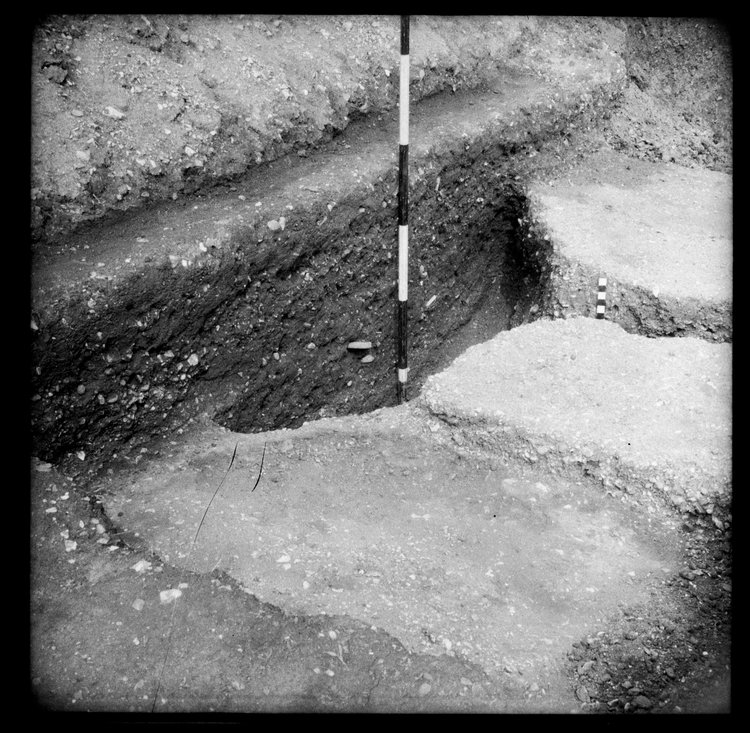Thumbnail of 13-5 View of feature against trench section in unknown trench from PC I-III with scale