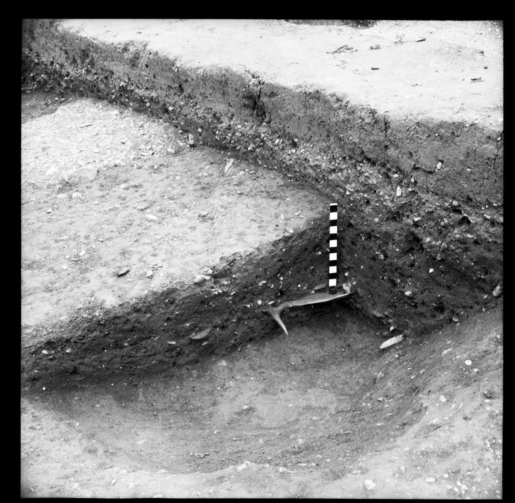 Thumbnail of 14-5 View looking NE of section of Pit I in AII with scale