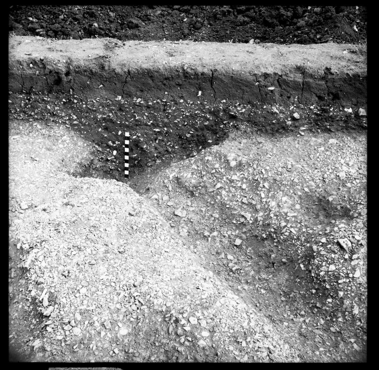 Thumbnail of 16-2 View looking E of trench IV with scale