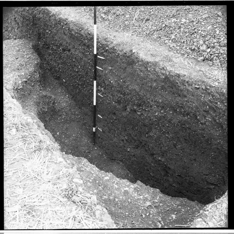 Thumbnail of 17-2 View looking SE of section of pit in trial trench A with context markers and scale