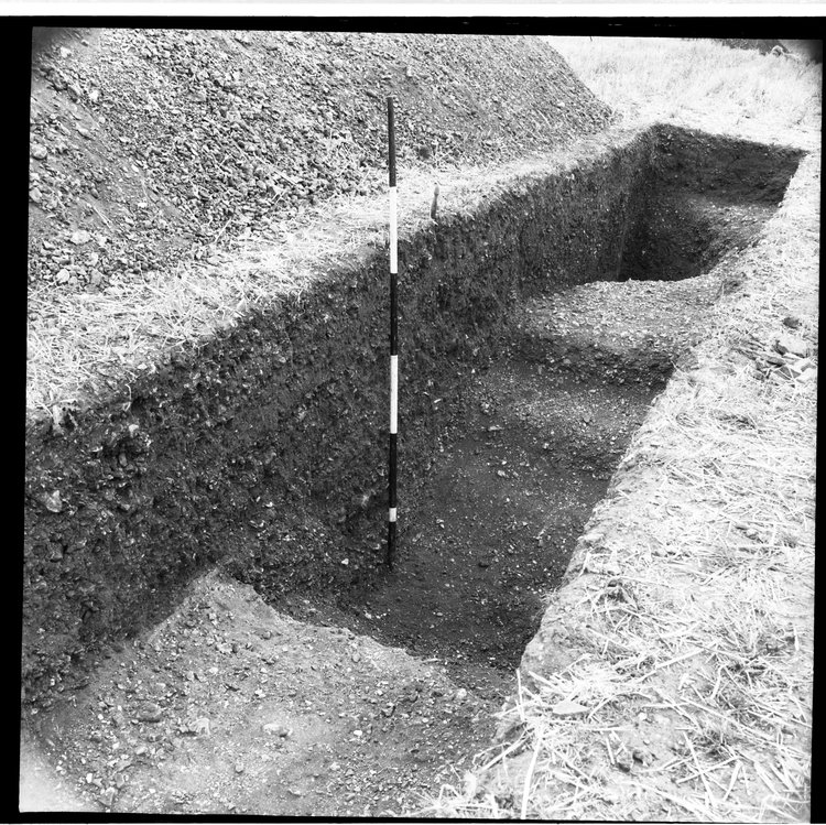 Thumbnail of 17-3 View looking SW of section in trial trench A with scale