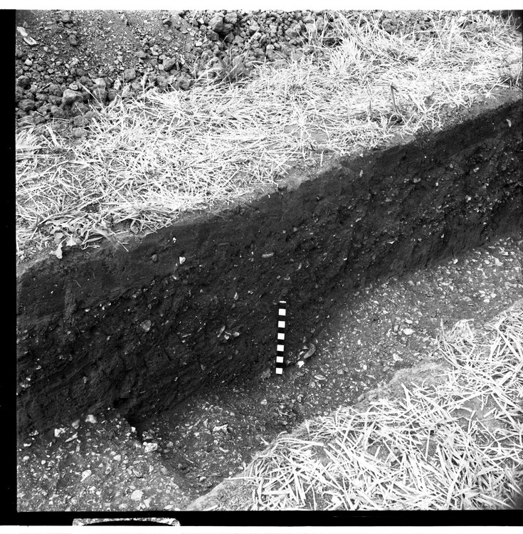 Thumbnail of 17-4 View looking SW of trial trench A with scale