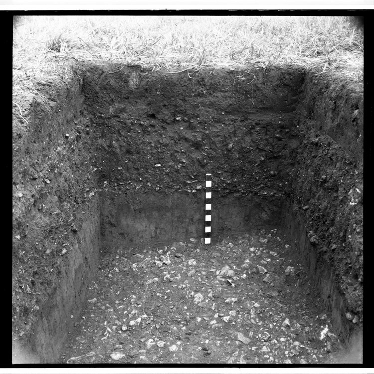 Thumbnail of 17-5 View of section short side of trial trench A with scale