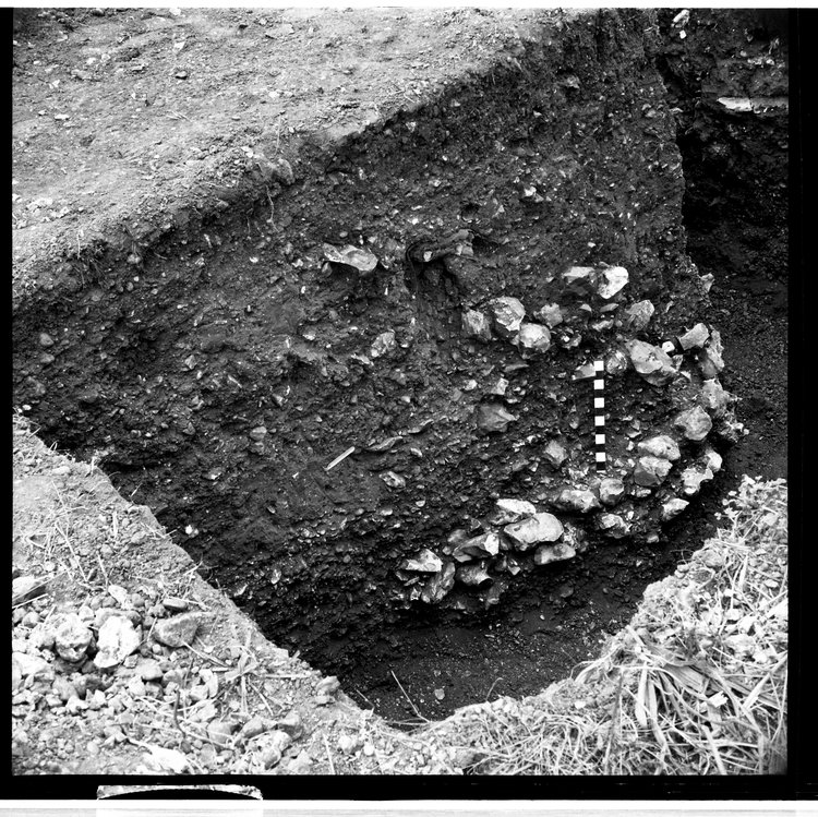Thumbnail of 19-1 View of section of trial trench C with scale - 3