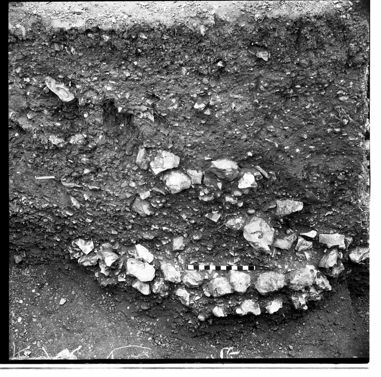 Thumbnail of 19-2 View of section of trial trench C with scale - 4