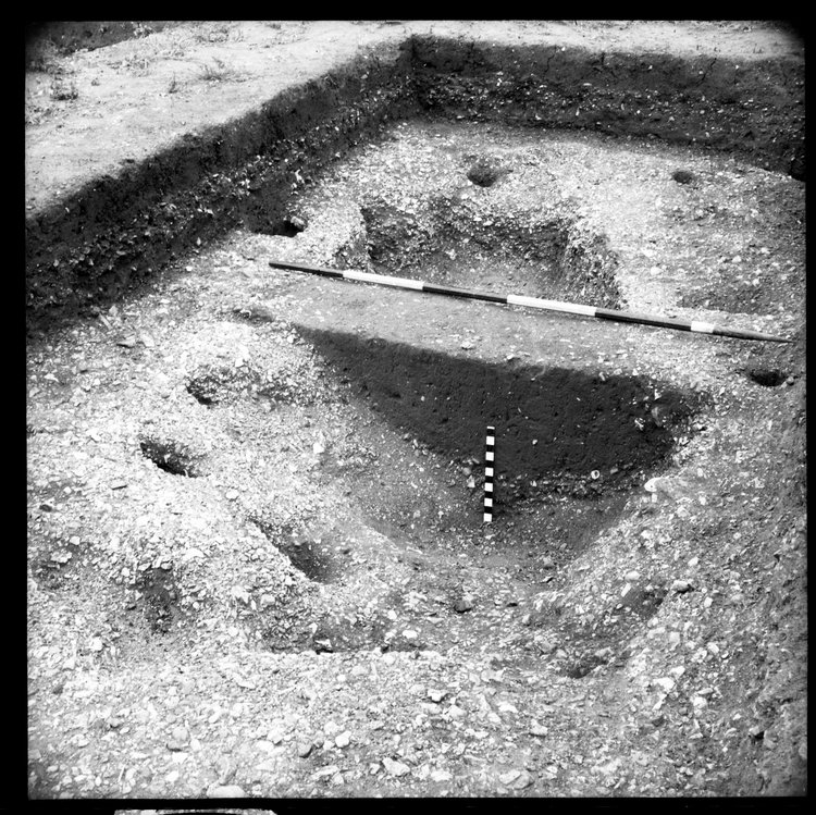 Thumbnail of 2-2 View looking E of trench III with scales