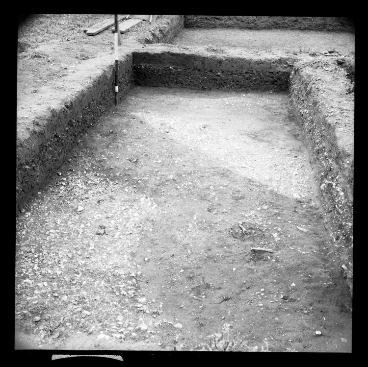 Thumbnail of 2-3 View looking S of trench IV with scale