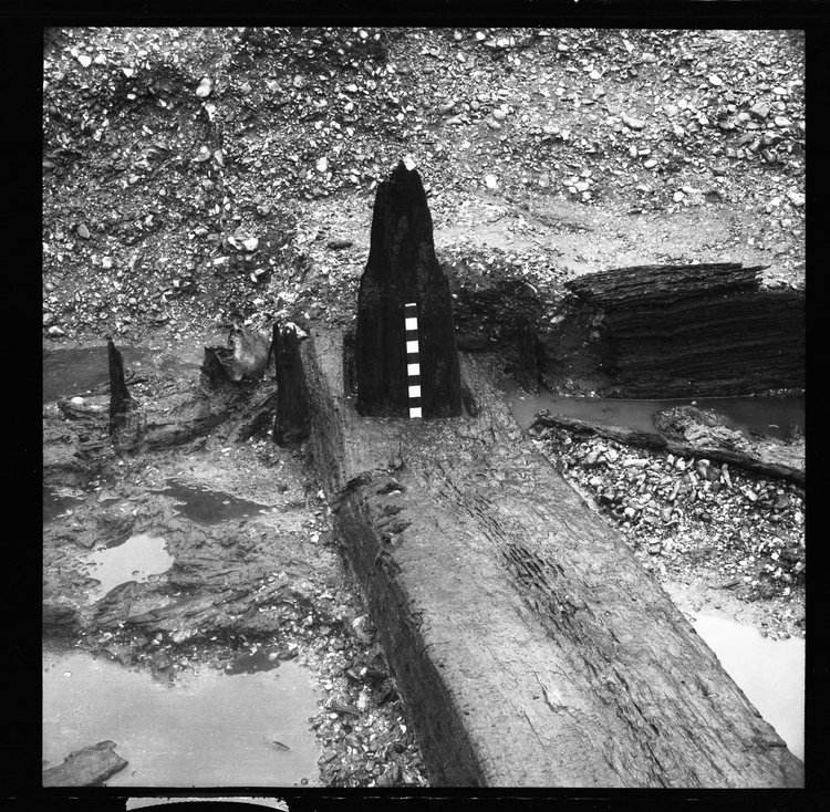 Thumbnail of 30-3 Close up of W most post in Beam A in Great Ditch I with scale