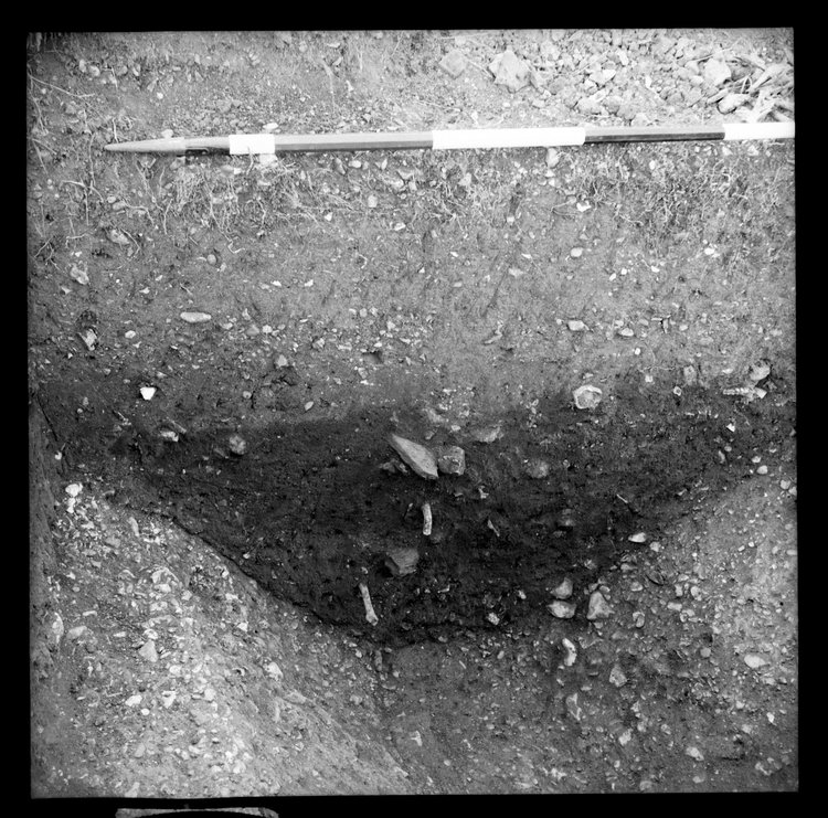 Thumbnail of 32-1 View of section in IDX or IDY with scale