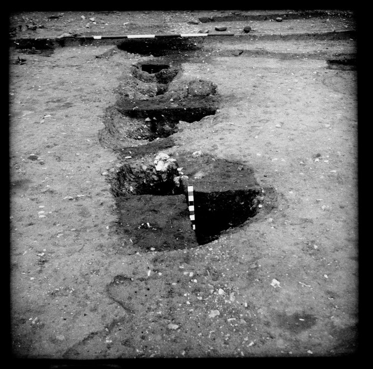 Thumbnail of 34-3 View looking N of post holes in IDX with scale