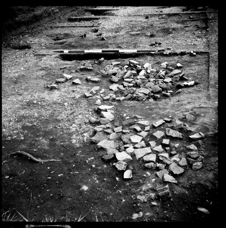 Thumbnail of 35-1 View of collapse in PMF Grange with scale - 3