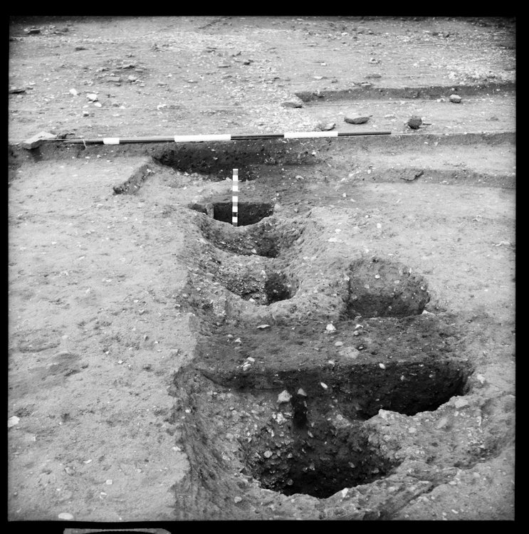 Thumbnail of 35-3 View looking N of post holes in IDX with scale