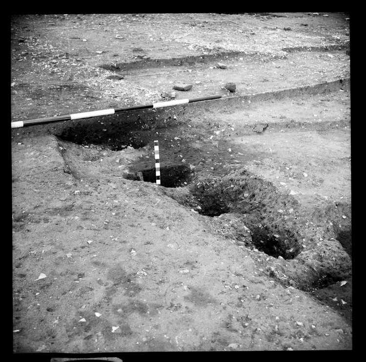Thumbnail of 35-4 View looking NE of post holes in IDX with scale
