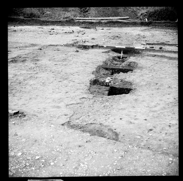 Thumbnail of 35-5 View looking NW of post holes in IDX with scale