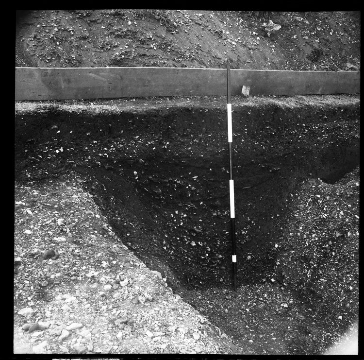Thumbnail of 41-2 Close up of curvilinear feature in unknown trench with scale