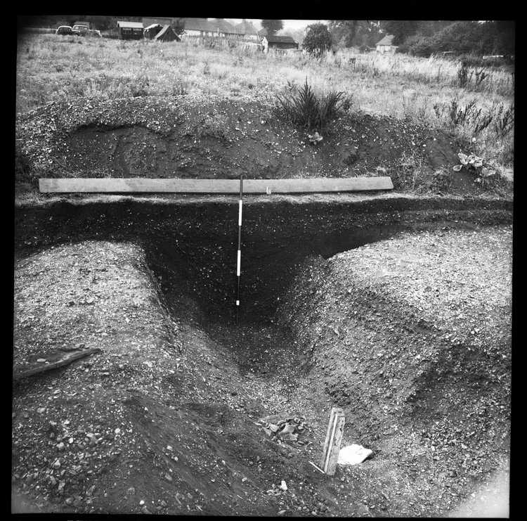 Thumbnail of 41-4 View of section of ditch in unknown trench with scale