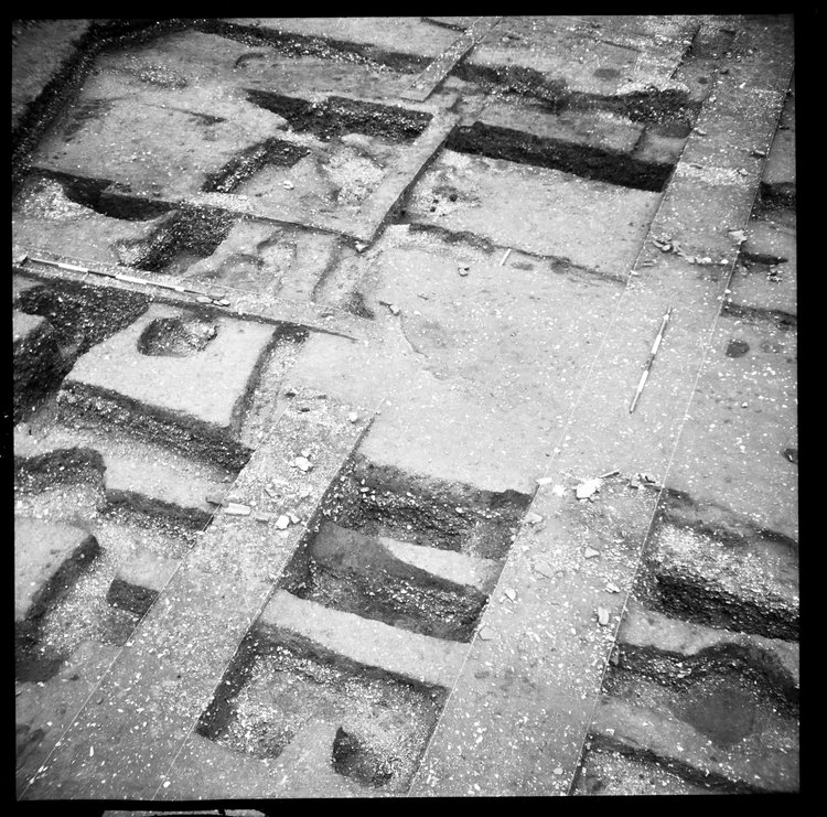 Thumbnail of 46-7 View looking NE of IDX fully excavated with scale
