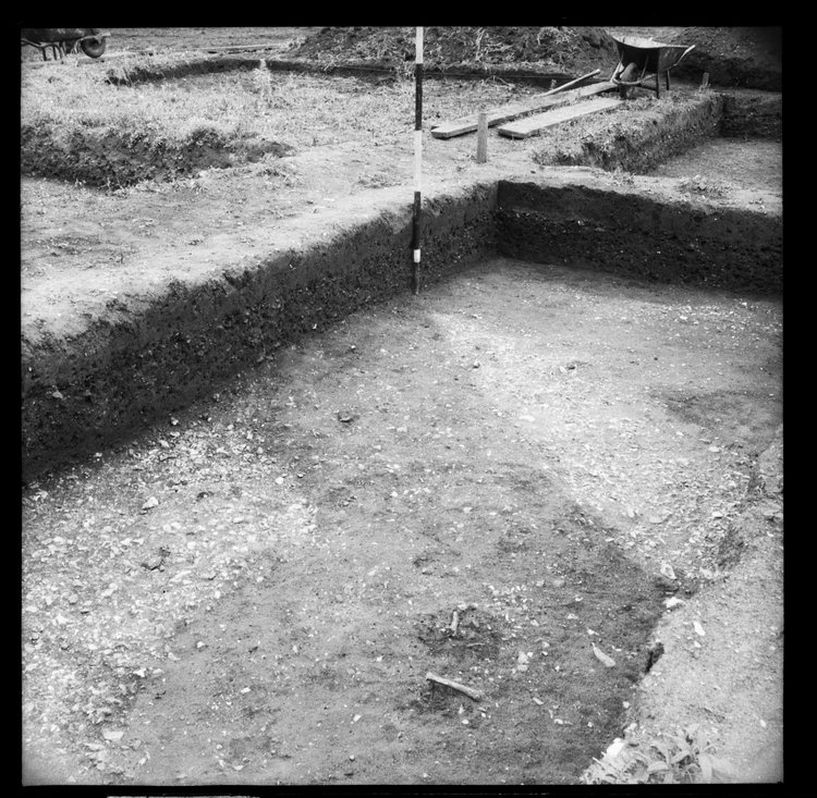 Thumbnail of 6-1 View looking SW of trench IV with scale