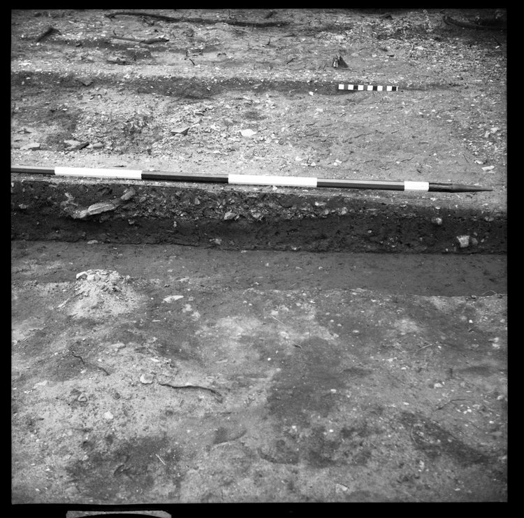Thumbnail of 63-11 Close up of feature in unknown trench, possibly IDX with scale