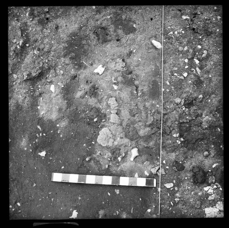 Thumbnail of 63-3 Close up of feature in unknown trench with scale