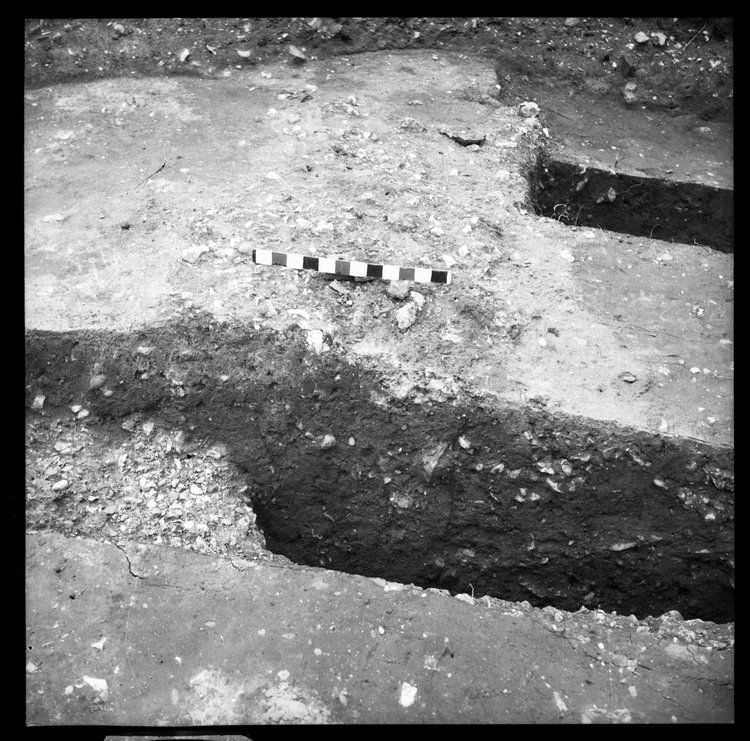 Thumbnail of 63-7 Close up of feature in unknown trench, possibly IDX with scale