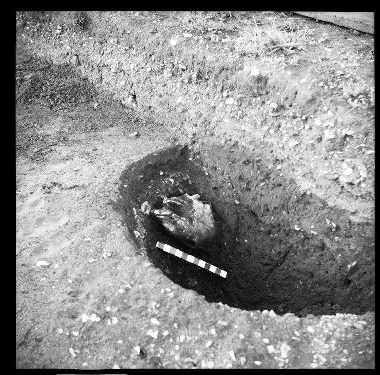 Thumbnail of 64-12 Close up of pit in IDY with scale