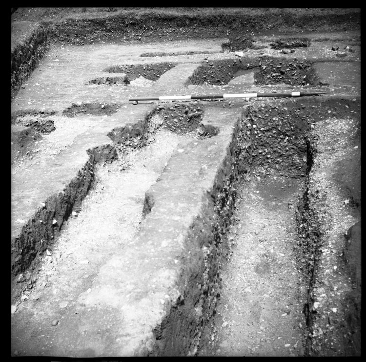 Thumbnail of 65-12 View looking N of IDX fully excavated with scale
