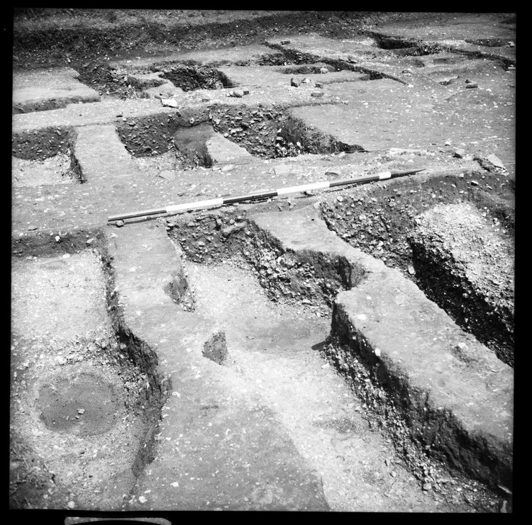 Thumbnail of 65-6 View looking NE of IDX fully excavated with scale