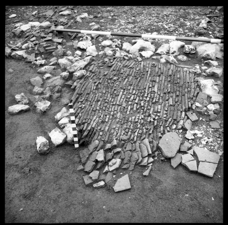 Thumbnail of 65-8 View looking E of paved surface in PMF Grange S with scale